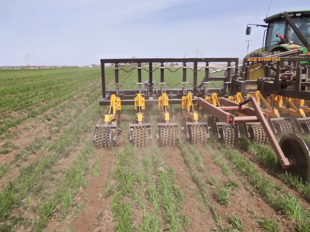 Strip-till bar working rows in a field, rear view