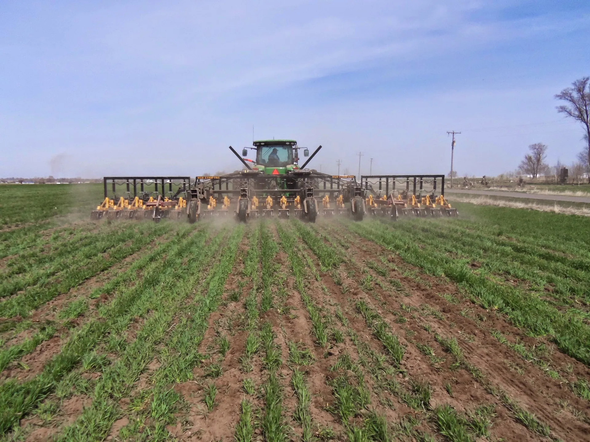 Northside strip-till bar working a green field