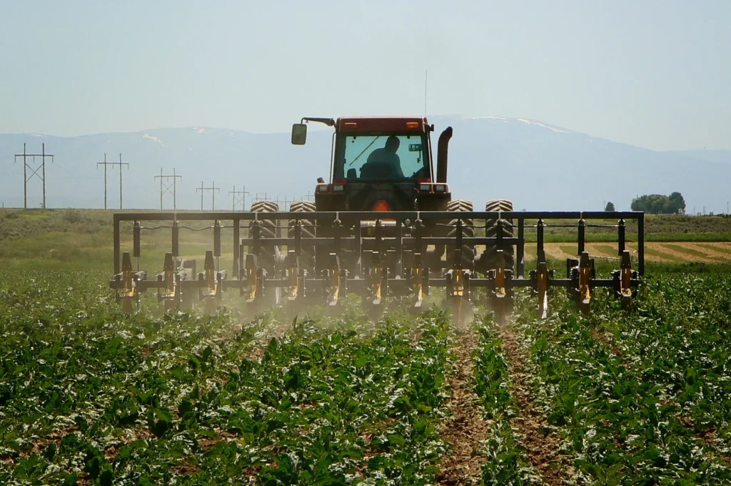 Water saver bar in a beet field behind a red tractor