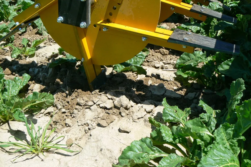Water saver paddle close-up in beets